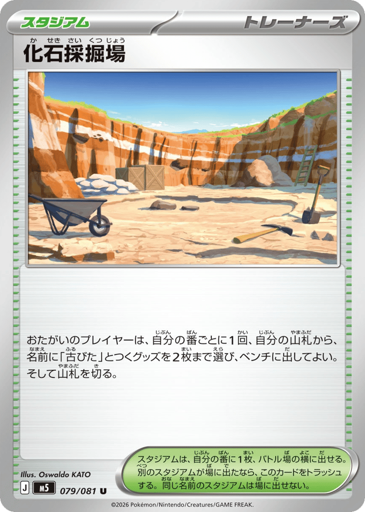 Fossil Excavation Site